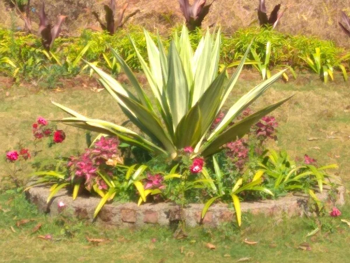 ماهاباليشوار Sadgurukrupa Villa Mahableshwar المظهر الخارجي الصورة